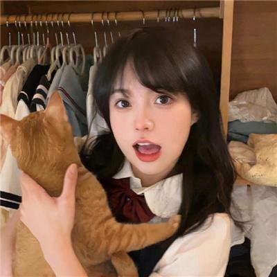 侠盗兄弟